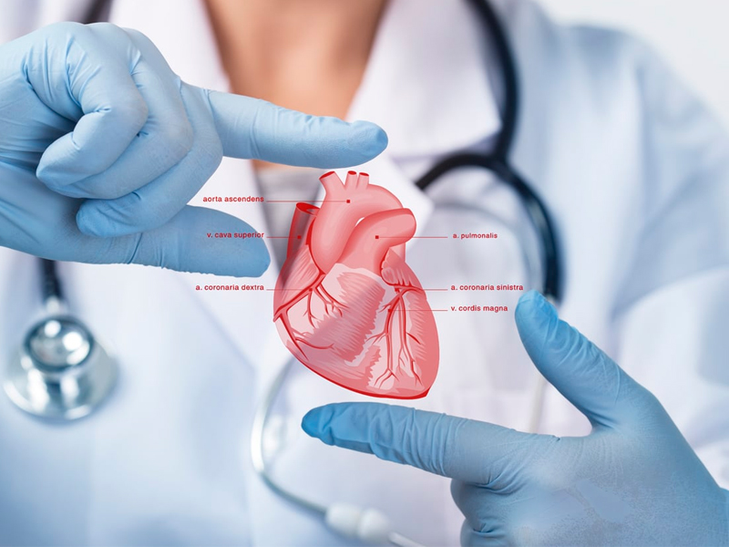 Cardiology