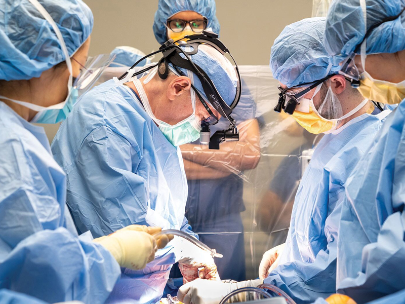Cardiovascular Surgery